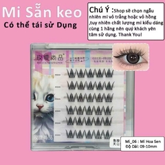 Mi Giả Sẵn Keo