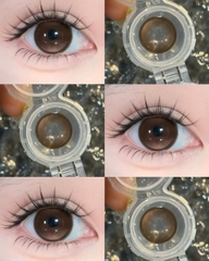 Kính Áp Tròng Màu Nâu Sweet Brown 14.5mm