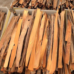Split Cassia
