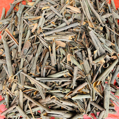 Broken Cassia (full size)