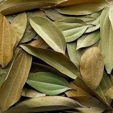 Cassia Leaf