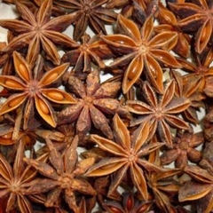 Spring Star Anise
