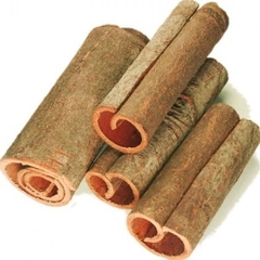 Whole tube Cassia