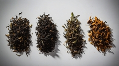 Tìm hiểu về quá trình Oxy Hóa Trà