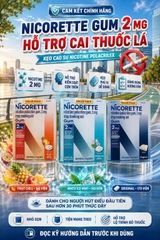 KẸO CAO SU HỖ TRỢ CAI THUỐC LÁ NICORETTE GUM 2MG CỦA MỸ (CÓ 3 HƯƠNG VỊ)