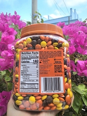 [CHÍNH HÃNG MỸ] Kẹo Nhân Bơ Đậu Phộng Reese's Pieces - Hũ Khổng Lồ 1.75kg Siêu Tiết Kiệm