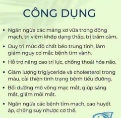 Hàng Mỹ Dầu cá Fish Oil Omega 3 Nature's Bounty 1000mg/250 viên