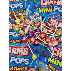 [CHÍNH HÃNG MỸ] Kẹo Mút Charms Mini Pops - Túi Khổng Lồ 350 Cây Với 18 Hương Vị Trái Cây Mix