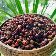 QUẢ CÀ GAI LEO THANH BÌNH 100gr
