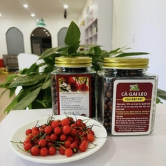 QUẢ CÀ GAI LEO THANH BÌNH 100gr