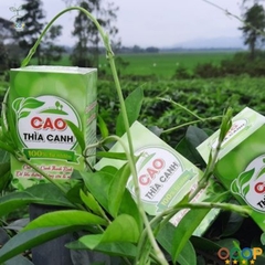 CAO THÌA CANH THANH BÌNH 100gr