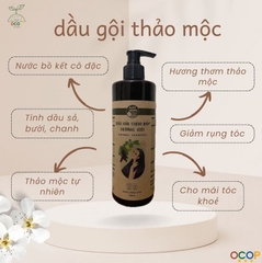 COMBO SỮA TẮM VÀ DẦU GỘI THẢO MỘC 500ml