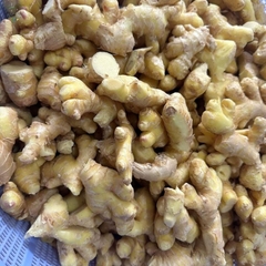 BỘT GỪNG SẤY LẠNH NHẬT CHI - 100gr