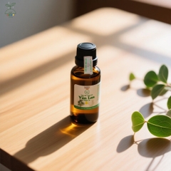 TINH DẦU TRÀM GIÓ VÂN LAN