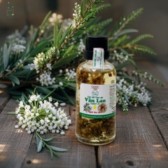 TINH DẦU TRÀM HOA NÉN VÂN LAN