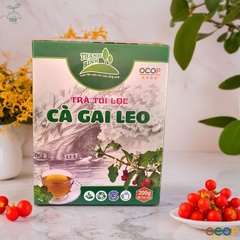 TRÀ CÀ GAI LEO THANH BÌNH TÚI LỌC 200gr