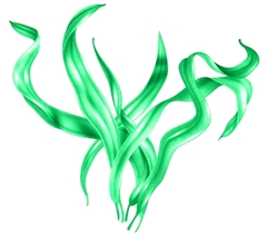 Sữa rửa mặt Tảo biển Avander 100g