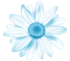 Sữa rửa mặt Thảo mộc Avander 100g