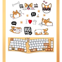 Bàn phím cơ không dây FEKER ALICE 80 - CORGI | 3 modes | Hotswap | Mạch xuôi | VIA