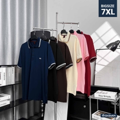 Top 10 mẫu áo polo big size hot nhất mùa hè năm nay