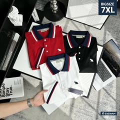 Áo polo nam big size Hà Nội: Địa chỉ mua uy tín, có cho thử trước