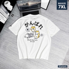 Áo Thun Gasi Trắng 3 chú Chó