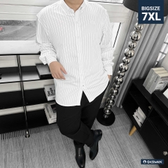 Áo Sơ Mi Tay Dài Big size Oxford Kẻ sọc Trắng
