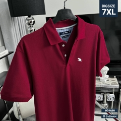 Áo Polo Bigsize Thêu con Gấu Màu Đỏ đô