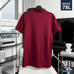 Áo Polo Bigsize Thêu con Gấu Màu Đỏ đô