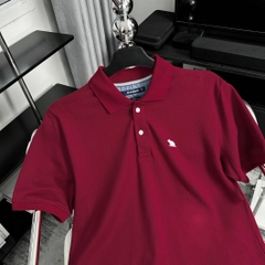 Áo Polo Bigsize Thêu con Gấu Màu Đỏ đô