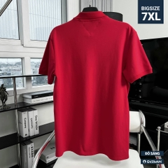 Áo Polo Bigsize Thêu con Gấu Màu Đỏ tươi