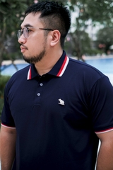 Áo Polo Bigsize Màu Xanh đen Thêu Gấu Phối cổ 3 màu