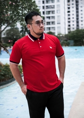 Áo Polo Bigsize Màu Đỏ Thêu Gấu Phối cổ 3 màu
