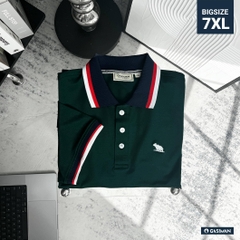 Áo Polo Bigsize Màu Xanh rêu Thêu Gấu Phối cổ 3 màu