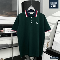 Áo Polo Bigsize Màu Xanh rêu Thêu Gấu Phối cổ 3 màu