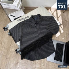 Áo Sơ Mi Bigsize Oxford Kẻ sọc Xám lông chuột