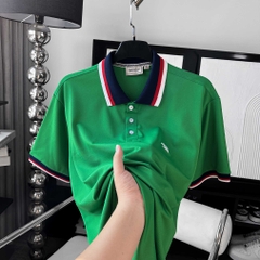 Áo Polo Bigsize Màu Xanh Lá Thêu Gấu Phối cổ 3 màu