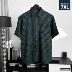 Áo Sơ Mi Bigsize Oxford Kẻ Sọc Xanh Rêu