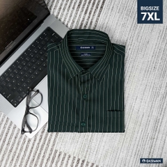 Áo Sơ Mi Bigsize Oxford Kẻ Sọc Xanh Rêu