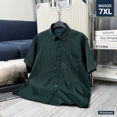 Áo Sơ Mi Bigsize Oxford Kẻ Sọc Xanh Rêu