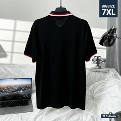 Áo Polo Bigsize Màu Đen Thêu Gấu Phối cổ 3 màu