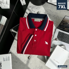 Áo Polo Bigsize Màu Đỏ Thêu Gấu Phối cổ 3 màu