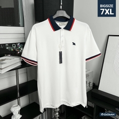 Áo Polo Bigsize Màu Trắng Thêu Gấu Phối cổ 3 màu