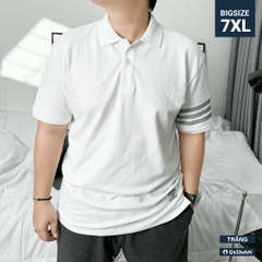 Áo Polo Bigsize 3 Sọc ngay tay Màu Trắng