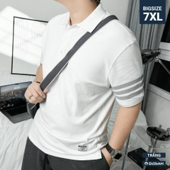 Áo Polo Bigsize 3 Sọc ngay tay Màu Trắng