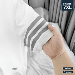 Áo Polo Bigsize 3 Sọc ngay tay Màu Trắng