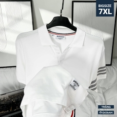 Áo Polo Bigsize 3 Sọc ngay tay Màu Trắng