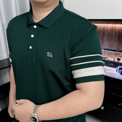 Polo phối tay in sọc xanh rêu
