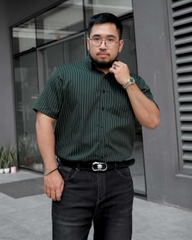 Áo Sơ Mi Bigsize Oxford Kẻ Sọc Xanh Rêu