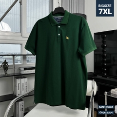Áo Polo Bigsize Thêu con Gấu Màu Xanh rolex